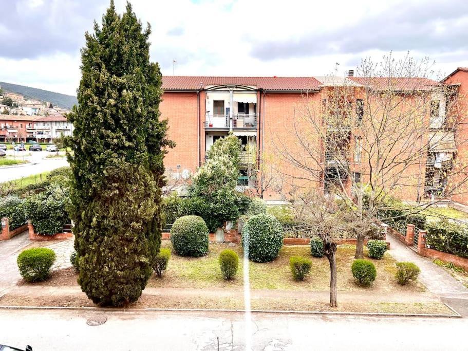 Comfyspot Apartment Rosia Bagian luar foto